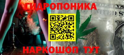 индика Гагарин