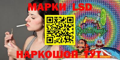 индика Гагарин