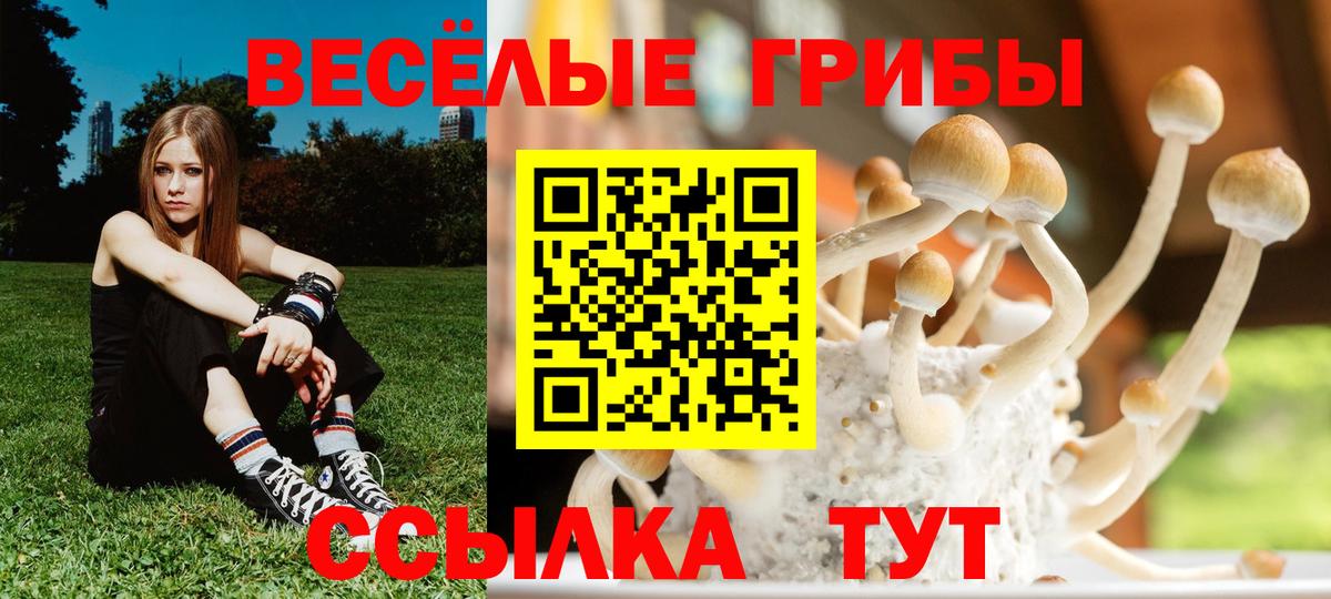 Псилоцибиновые грибы мухоморы  Галлюциногенные грибы мухоморы  Вход с VPN  Воскресенск 